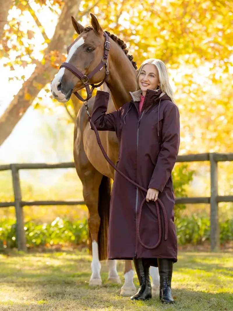 Defy Advanced SL 2 ISP